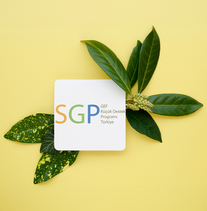 1992 Rio &ndash; 1996 Istanbul Habitat II S&uuml;reci İ&ccedil;erisinde T&uuml;rkiye &Ccedil;evreci Sivil &Ouml;rg&uuml;tlenmelerinin (STK/ Y&Ouml;) Tesirliliğinin Değerlendirilmesi Araştırılması